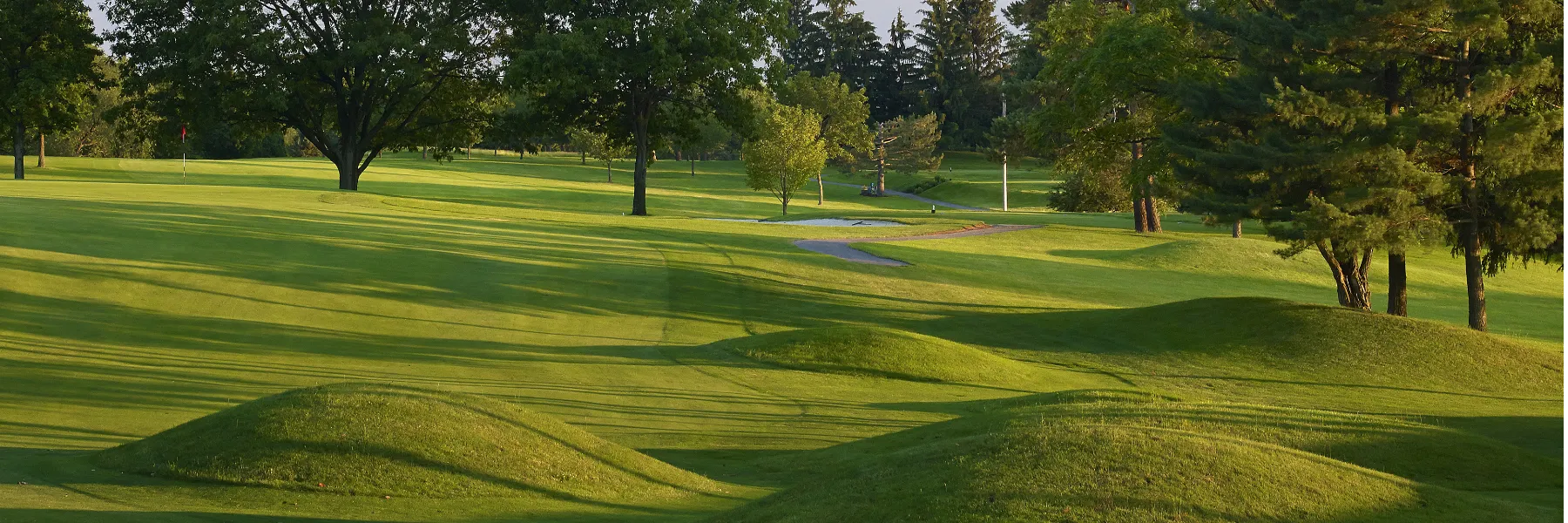 fairway bunkers